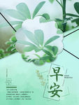 早安