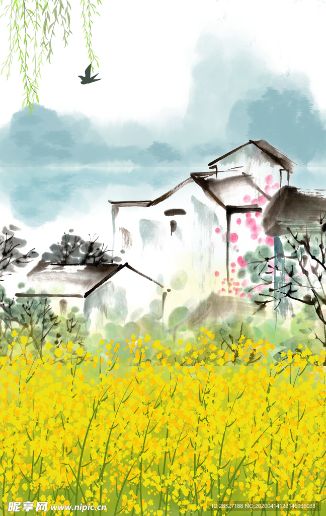 油菜花