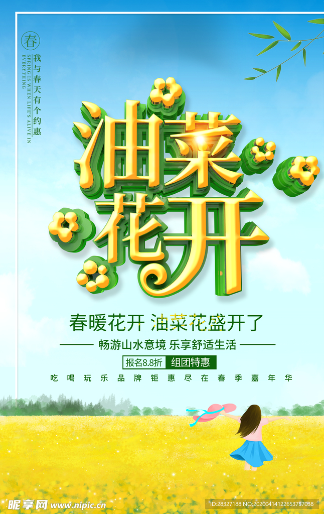 油菜花