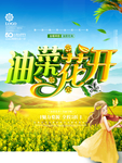 油菜花