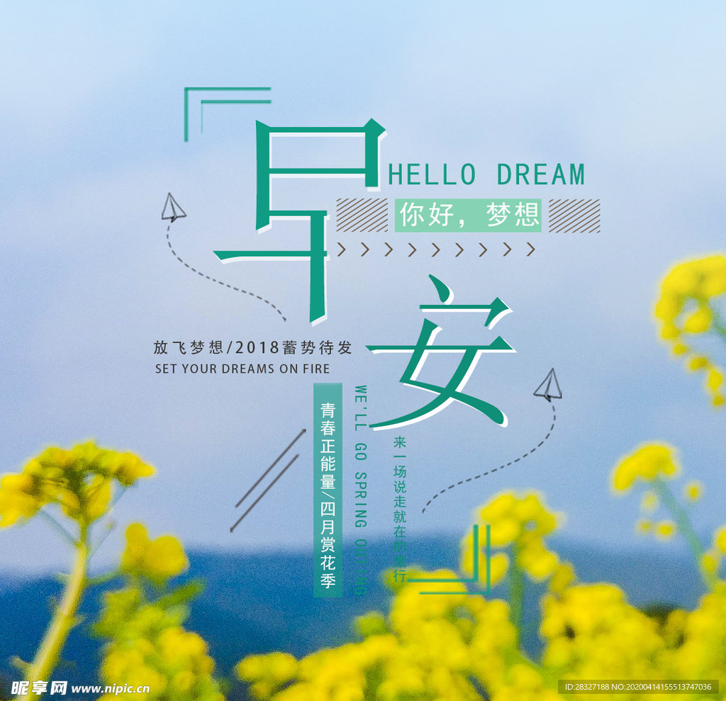 油菜花