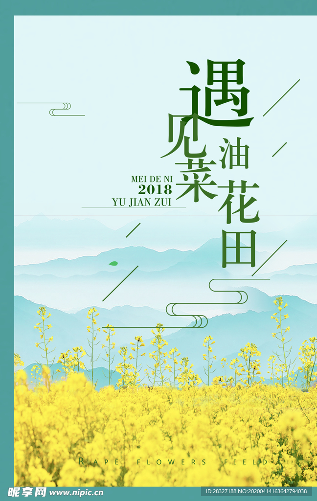 油菜花