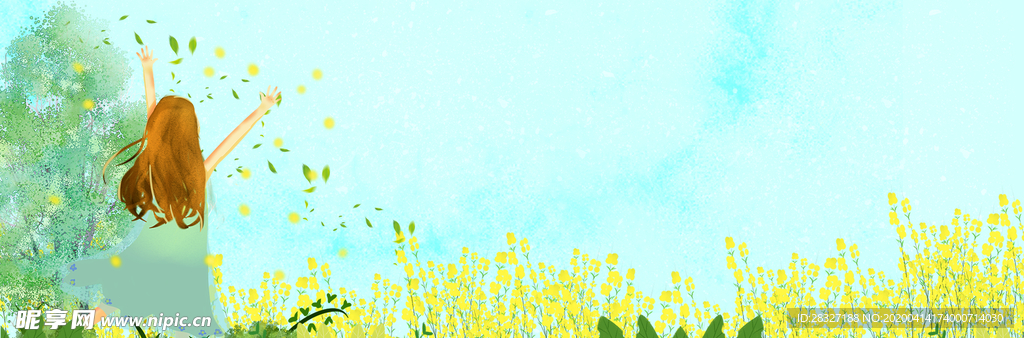 油菜花