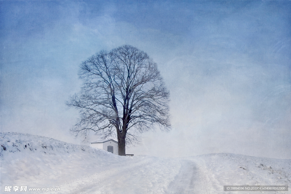 雪景