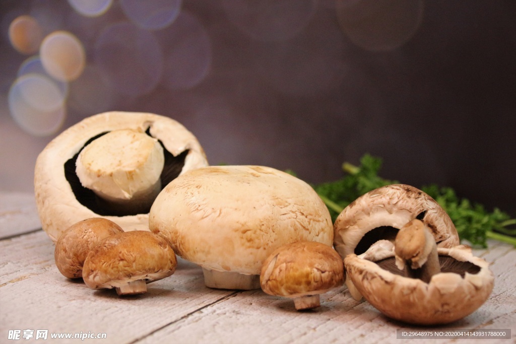 香菇 花菇 菌菇 随州香菇蘑菇