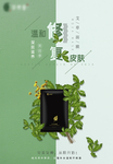 面膜海报