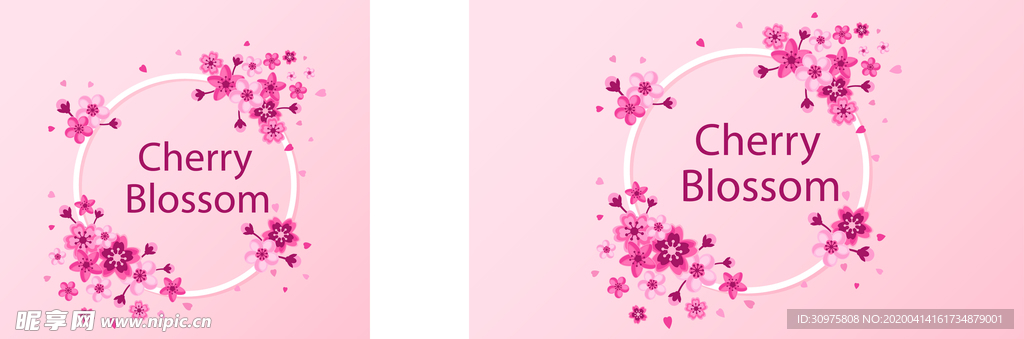 樱花