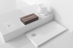 简约大气 vi 展示样机Par