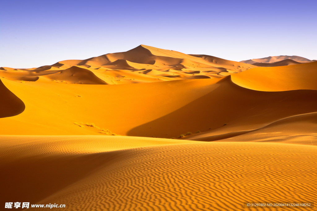 沙漠 沙丘