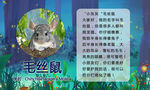 动物介绍