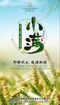 小满