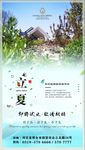立夏