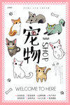 宠物