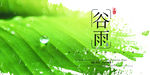 谷雨