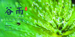 谷雨