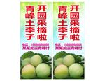 土李子宣传道旗