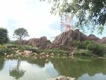 风景