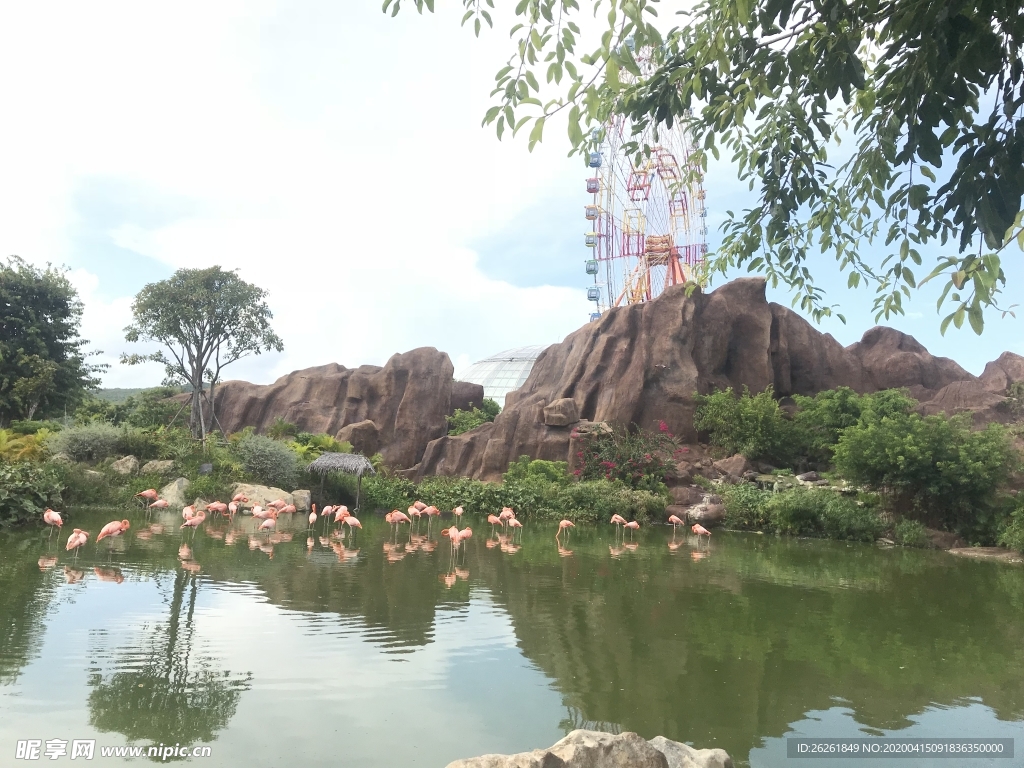 风景