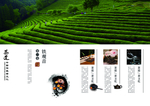 中国风茶道宣传画册