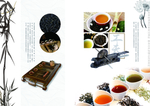 中国风茶道宣传画册
