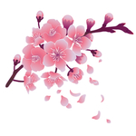 手绘樱花