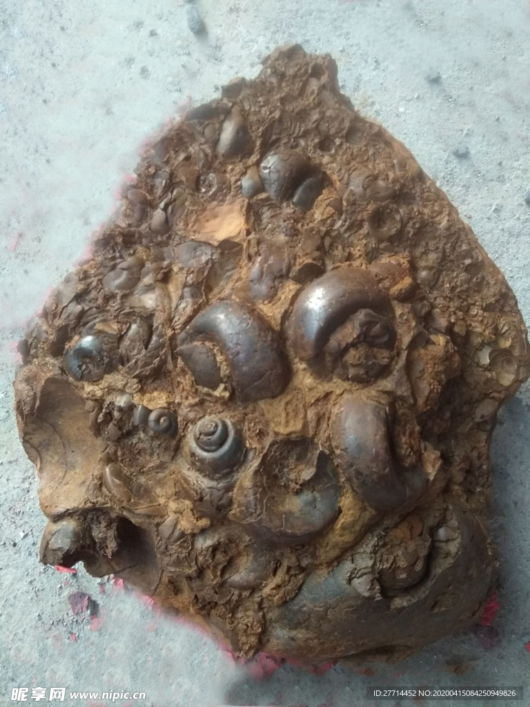化石