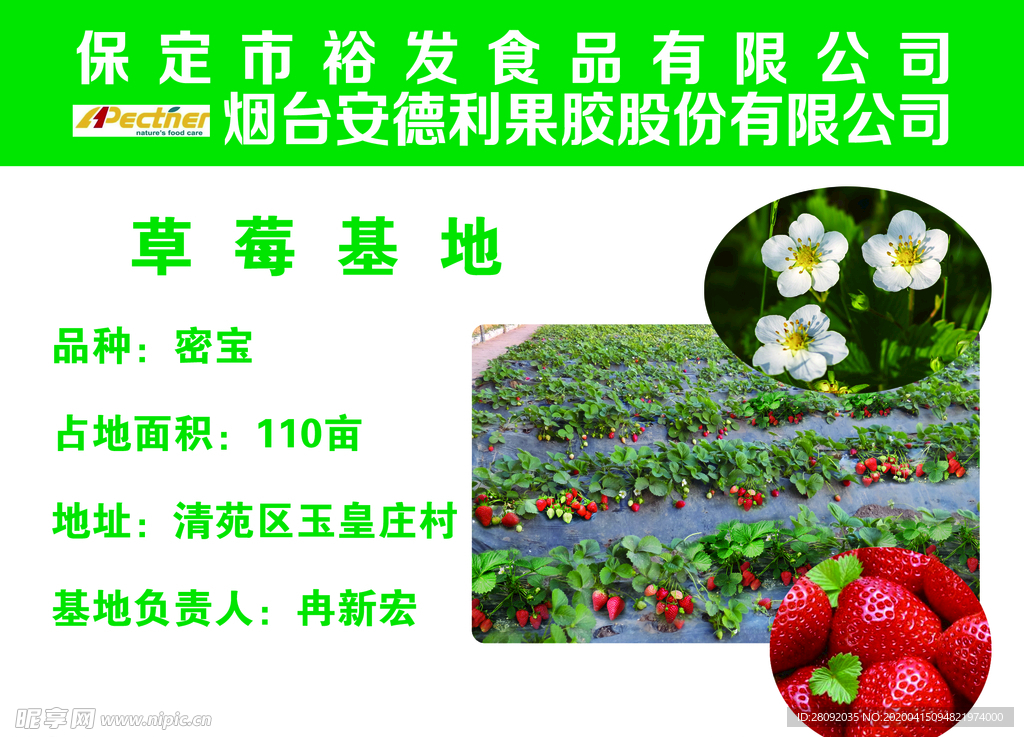 草莓基地 公示牌