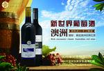 澳玛帝红酒海报