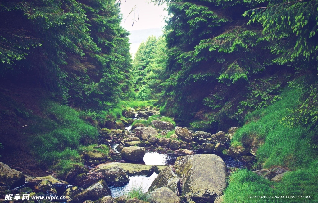 山间小溪