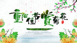 重阳佳节赏菊花展板