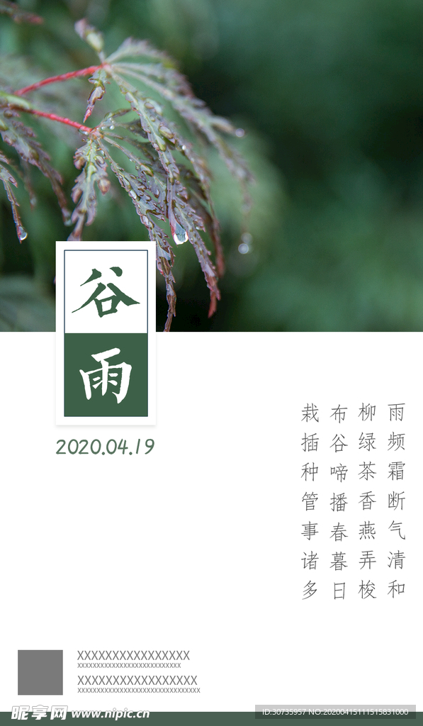 谷雨 雨后 二十四节气 传统时