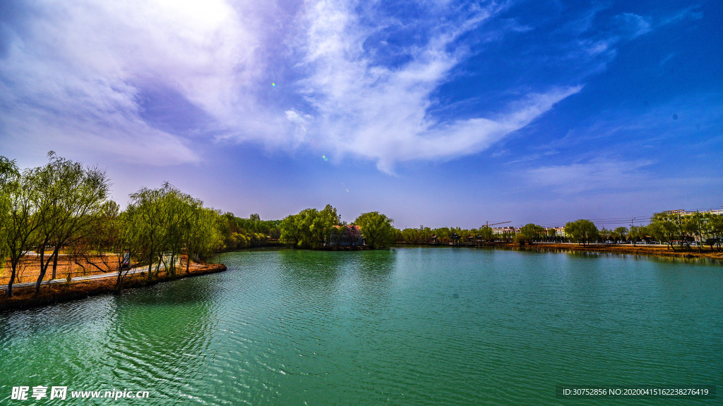 湿地风景