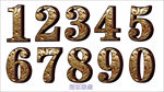 3D数字