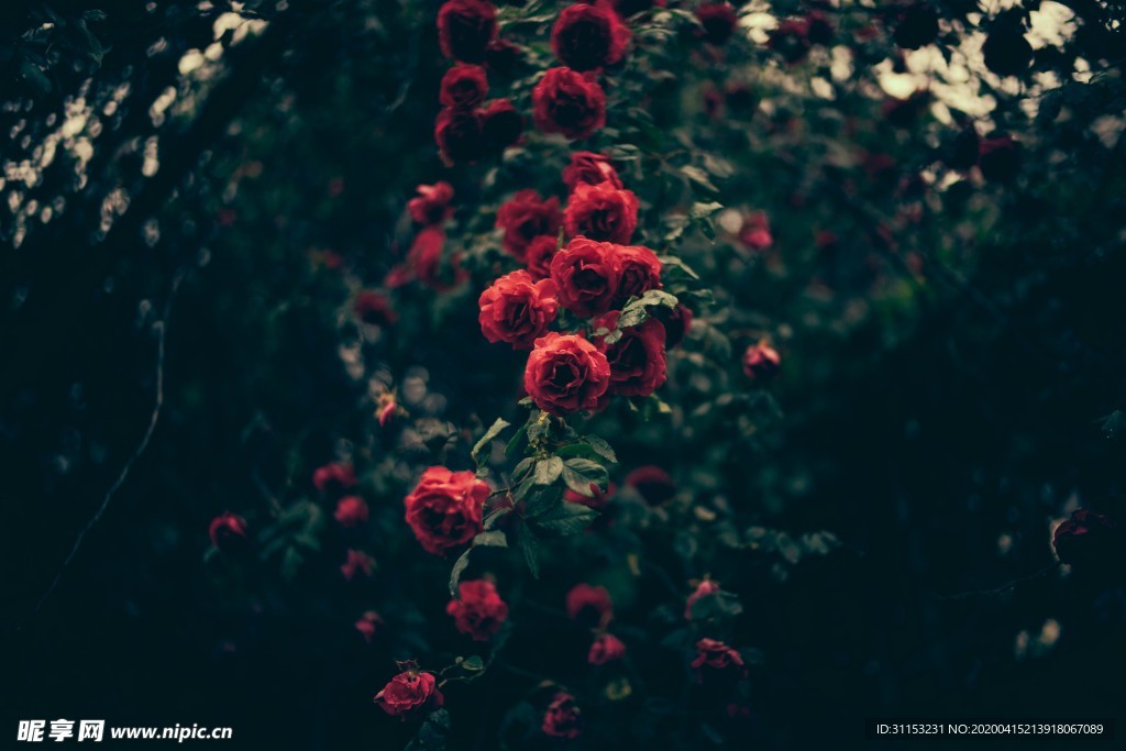 花
