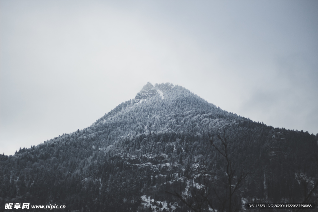山