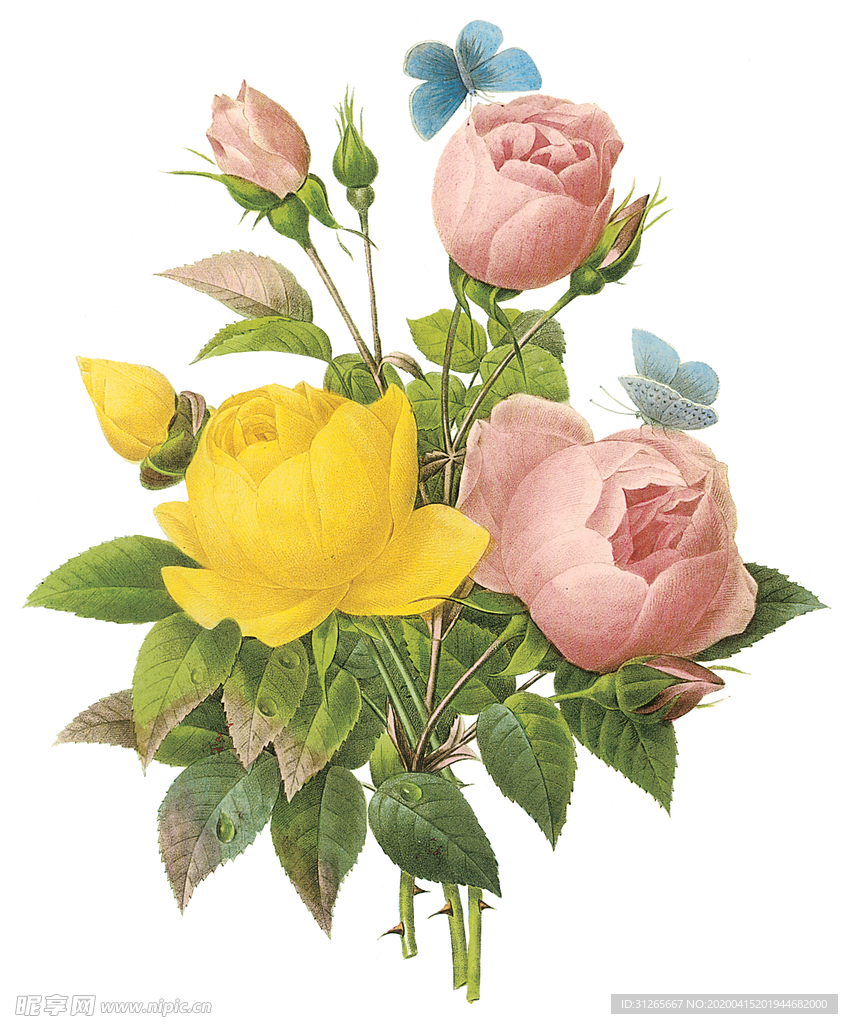 植物 花卉 油画 装饰画