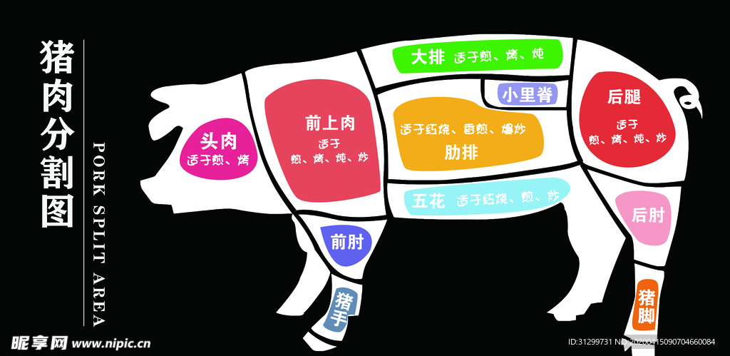 猪肉牛肉分割图图片