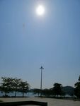 夏
