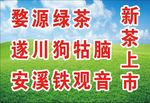 新茶上市