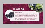 水果宣传
