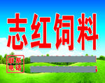 志红饲料