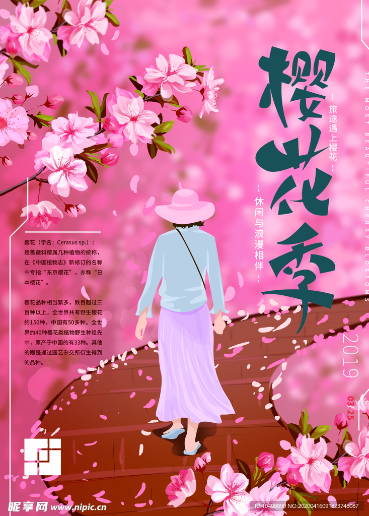 樱花季