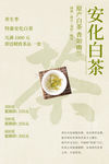 白茶