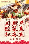 麻辣鱼海报