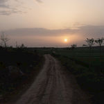 夕阳油画