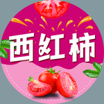 圆形水果贴 绿叶子 西红柿