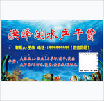 洪泽湖水产干货
