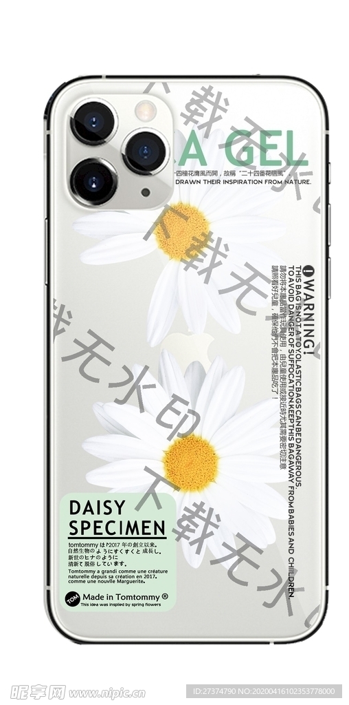邹菊