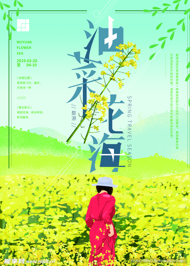 油菜花