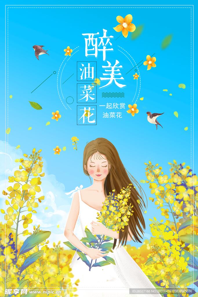 油菜花